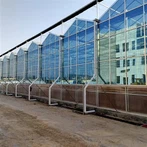 Zivju dārzeņu simbiotiskā siltumnīca