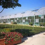 Ziedu plēves siltumnīca