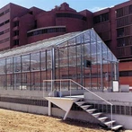 Dārza stikla siltumnīca