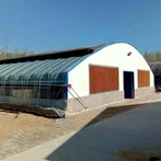 Siltumnīcu saimniecība