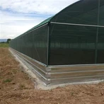 Siltumnīca gliemežu audzēšanai