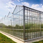 Pc Ziedu siltumnīca