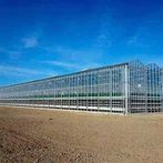 Polikarbonāta plastmasa siltumnīcai