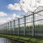 Dārzeņu siltumnīca