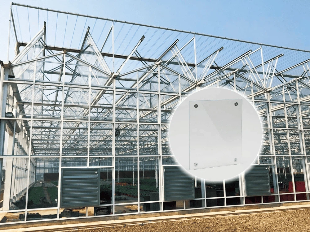 What Type of Glass Is Used for Greenhouses? What Type of Glass Is Used for Greenhouses?