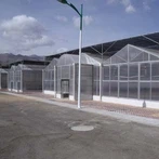 PC tomātu siltumnīca