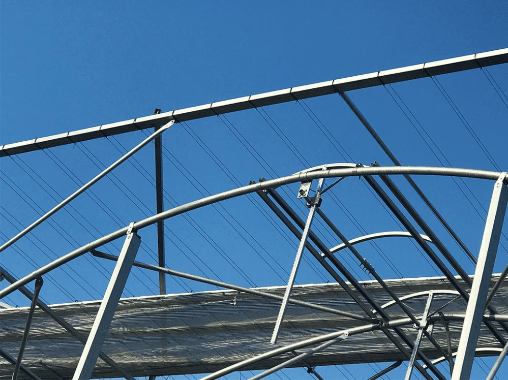 China Tunnel Film Greenhouse For Russia China Tunnel Film Greenhouse For Russia